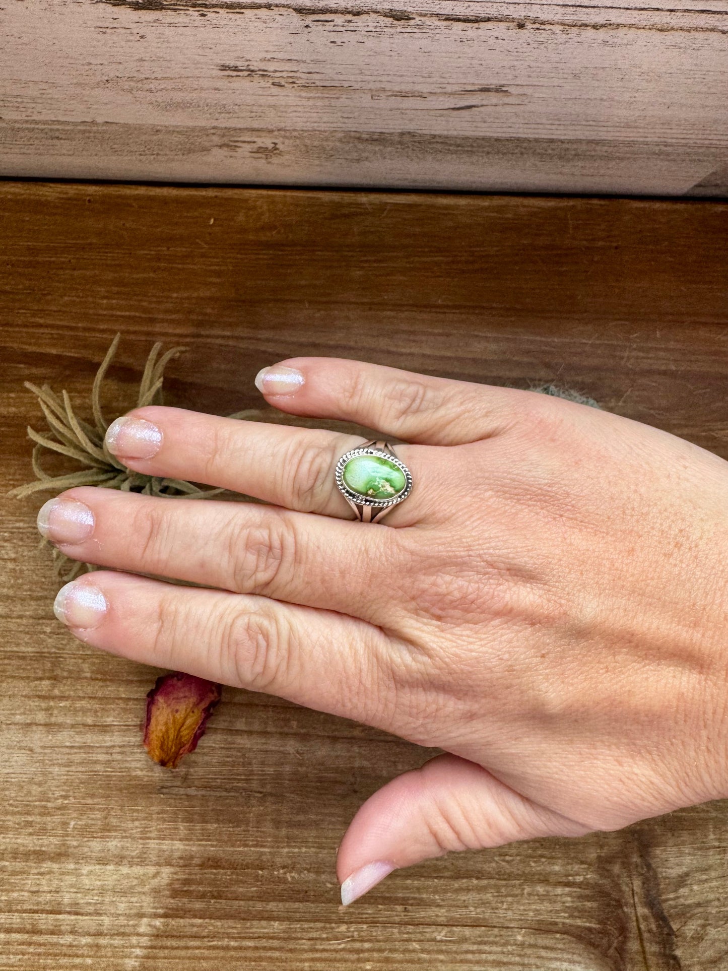 Small Ring- size 6 - Sonoran Gold Turquoise & Sterling Silver